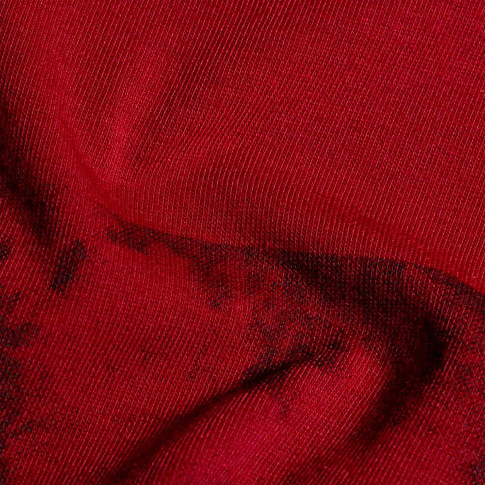 Mammut Trovat T-Shirt Men Logo, dark red