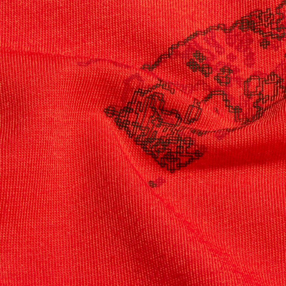 Mammut Mountain T-Shirt Women Fruendenhorn, red