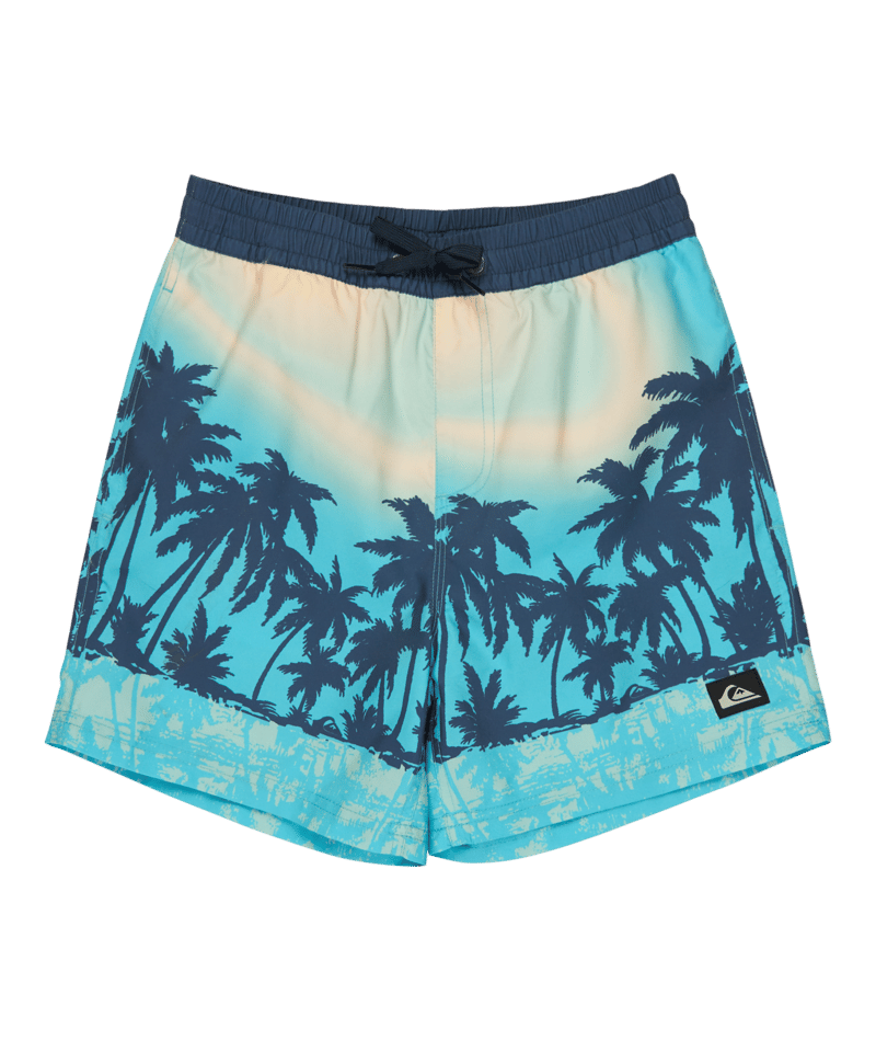 Quiksilver Everyday Printed Volley Yth 14, Aqua Thermotropics, S/10