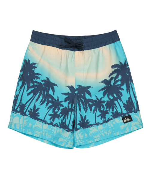 Quiksilver Everyday Printed Volley Yth 14, Aqua Thermotropics