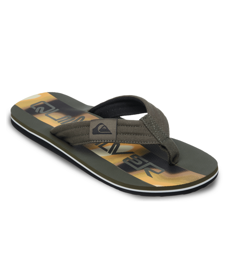 Quiksilver Molokai Layback 26, Grape Leaf Holmes, 13(46)