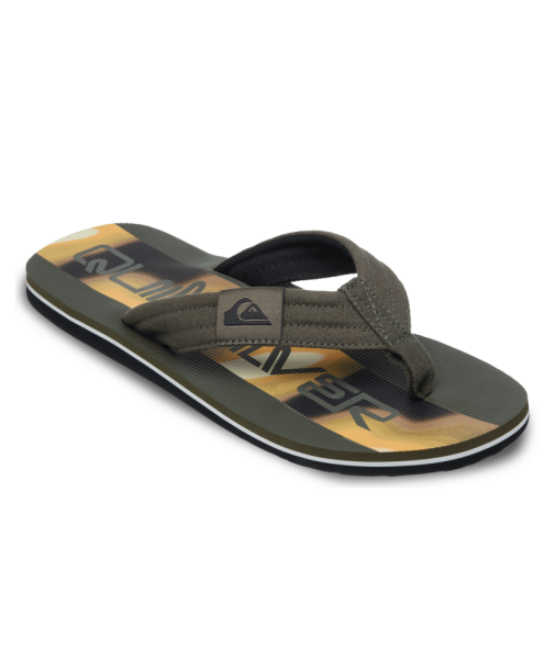 Quiksilver Molokai Layback 26, Grape Leaf Holmes