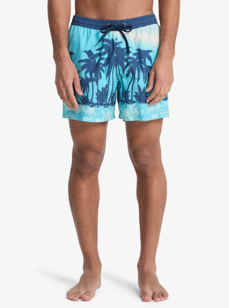 Quiksilver Everyday Printed Volley 15, Aqua Thermotropics, M