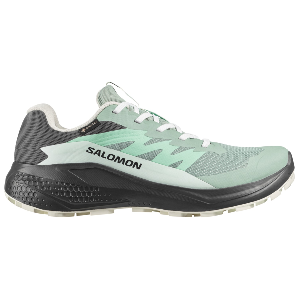Salomon SHOES ALPHAGLIDE GTX W Greenm/Asphal/Cla