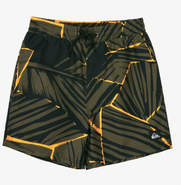 Quiksilver Everyday Printed Volley Yth 14, grape leaf natural geo