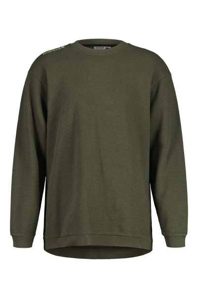 Maloja LaghiM., alpine woods, S