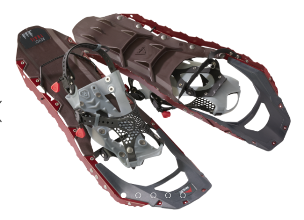 MSR Revo Trail W22, iron euro, 56cm