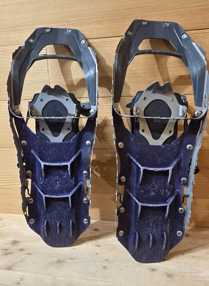 MSR Revo Trail violette