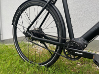 MTB Cycletech Souplesse Men Pinion C1-9