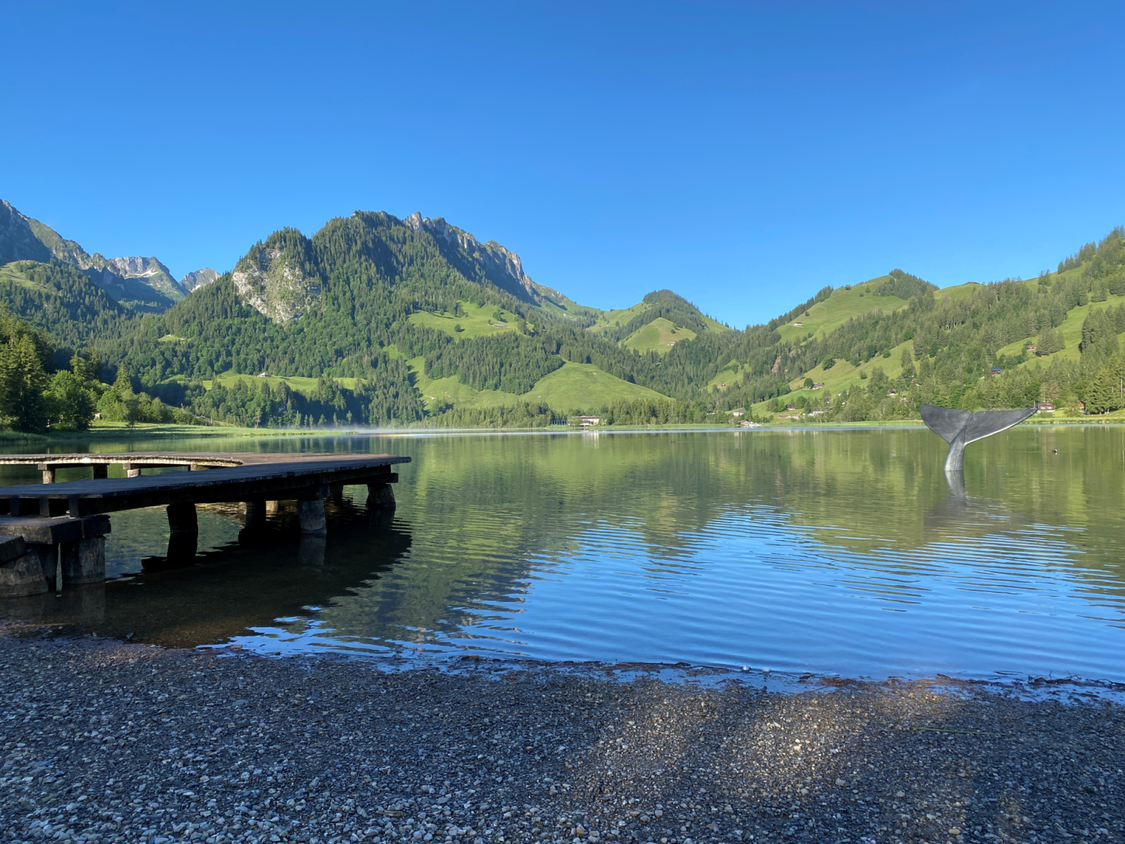 SideCut Sports – Sommer